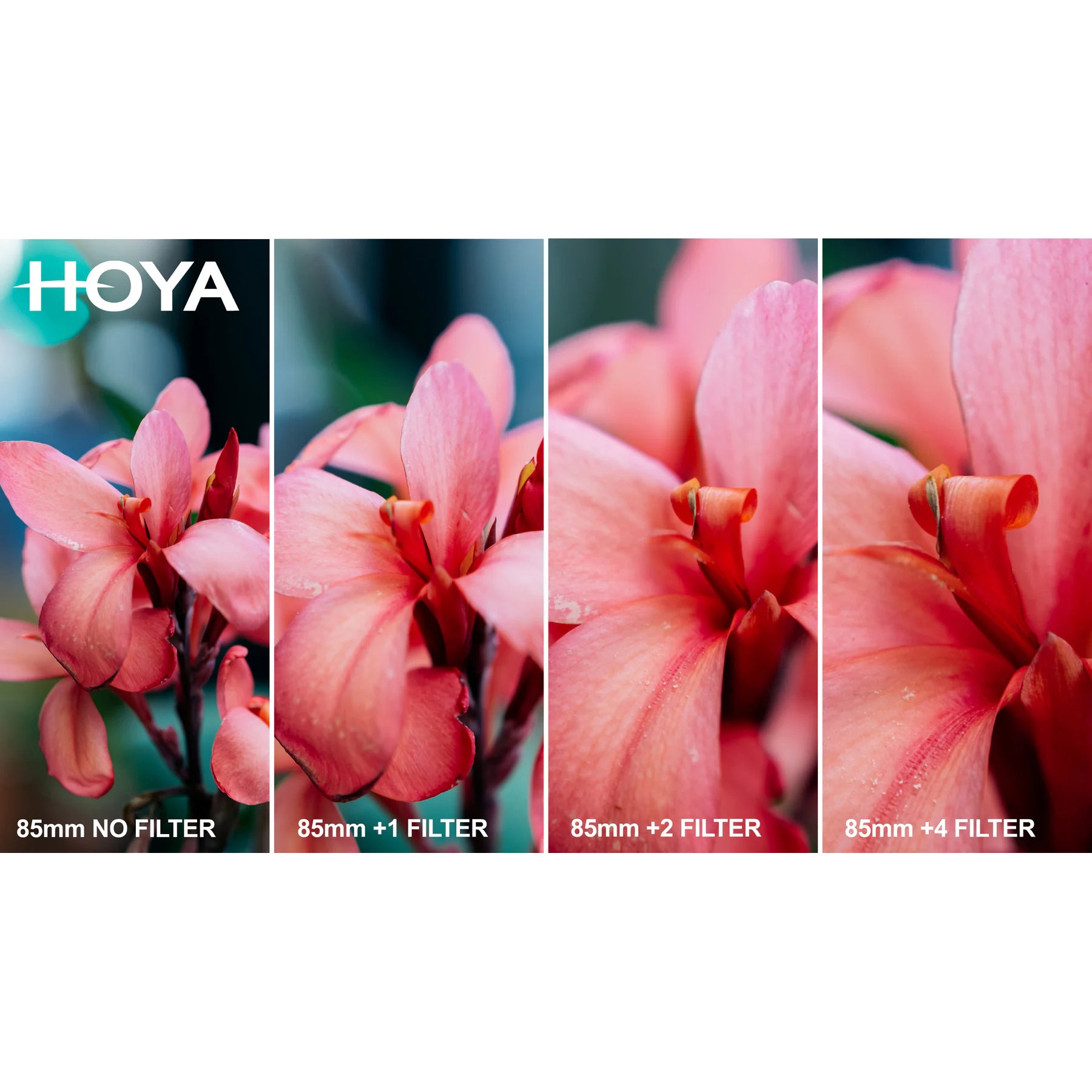 Hoya HMC Close-Up +1+2+4 SET II Filter