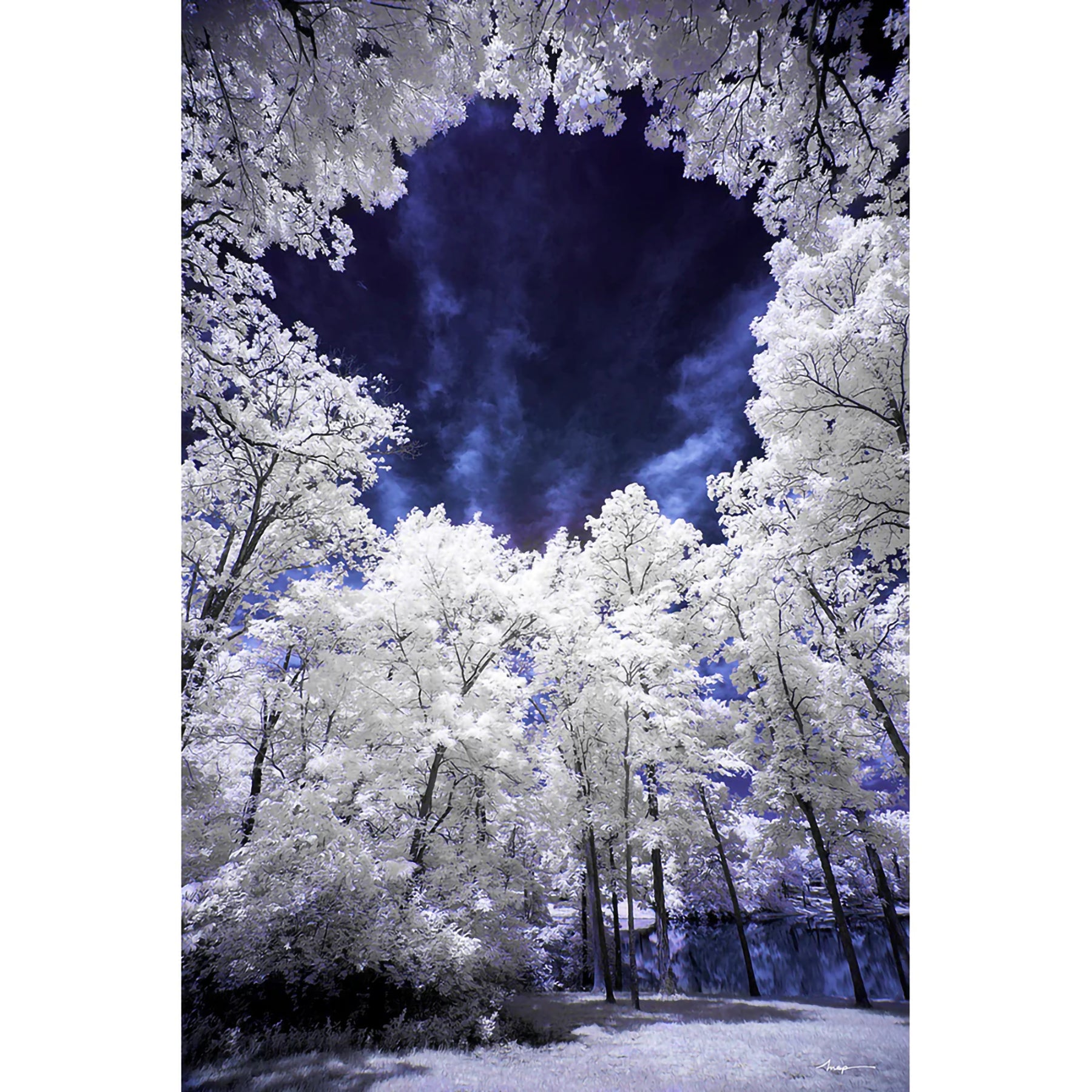 Hoya R72 Infrared Filter