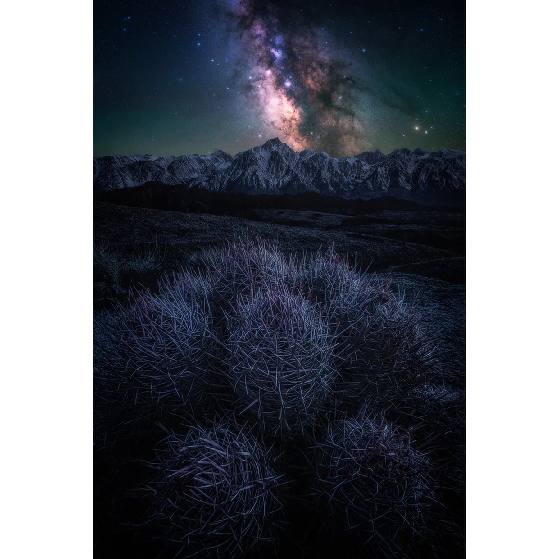 Hoya Starscape Light Pollution Filter-Intensifier