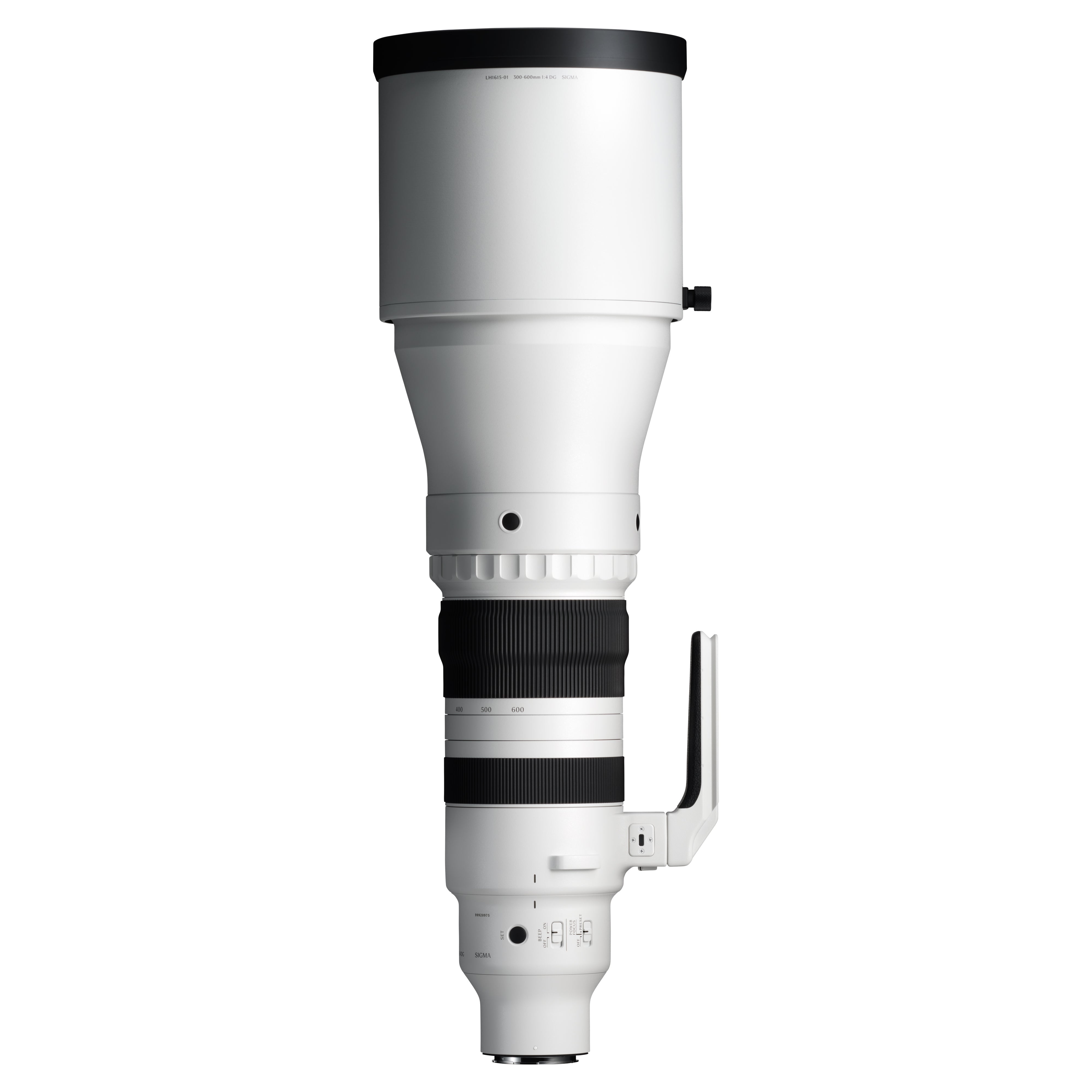 SIGMA 300-600mm F4 DG OS | Sports