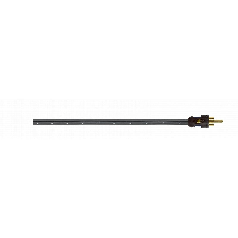 AAMP X1 Series RCA to Line Level In 8" Leads